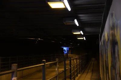 DSC_6067 (Large).JPG